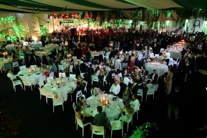 baile_gala 308 Custom